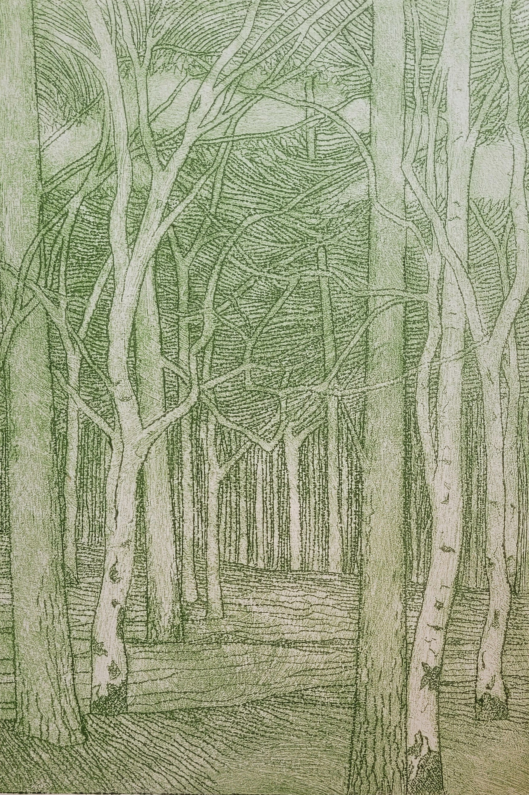 Roydon Woods, New Forest 2